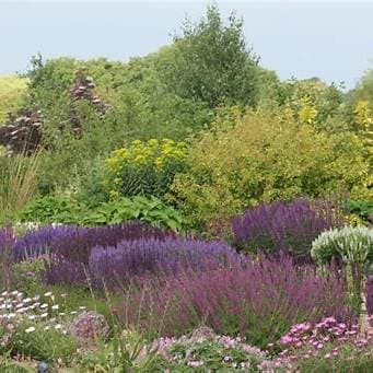 Long House Plants garden with mature plantings and colorful borders