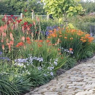 Mixed border with vibrant autumn colors and ornamental grasses